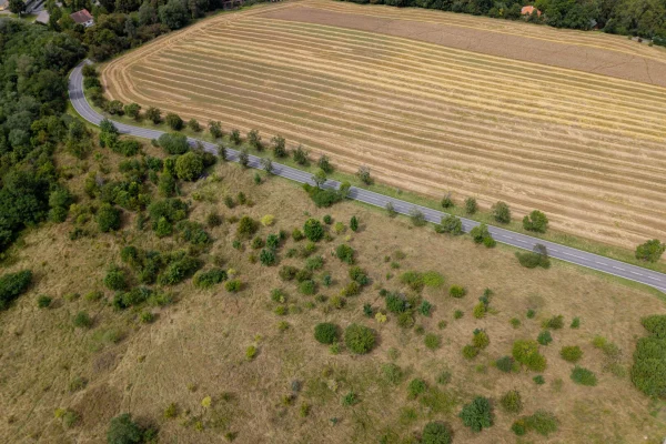 DJI_20250807132658_0722_D