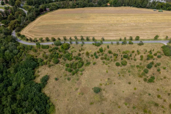 DJI_20250807132718_0724_D