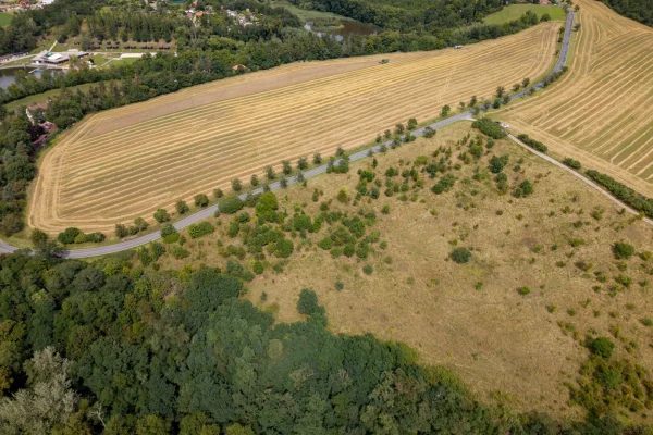 DJI_20250807132830_0728_D