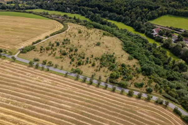 DJI_20250807133129_0739_D