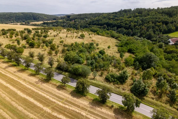 DJI_20250807133759_0754_D