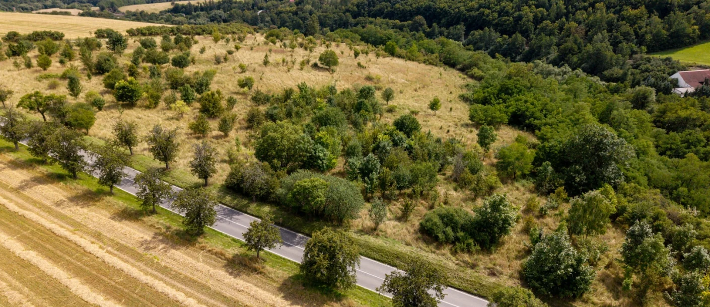 DJI_20250807133759_0754_D